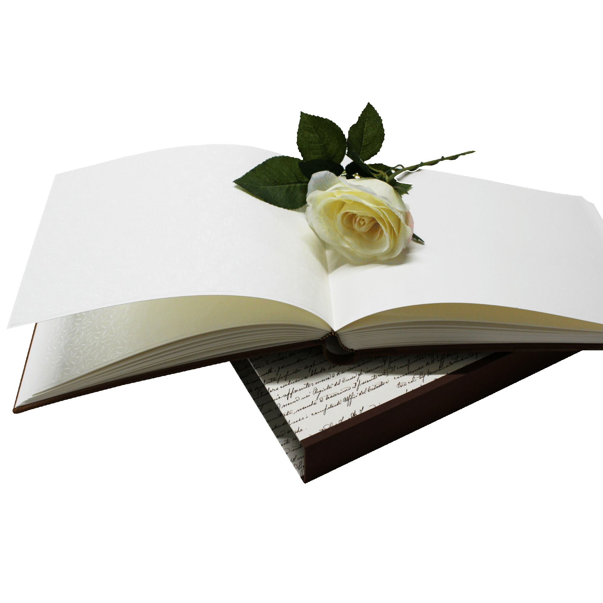 mit Schuber-1 Foto-Gästebuch Vesuv in drei Farben mit individueller Prägung