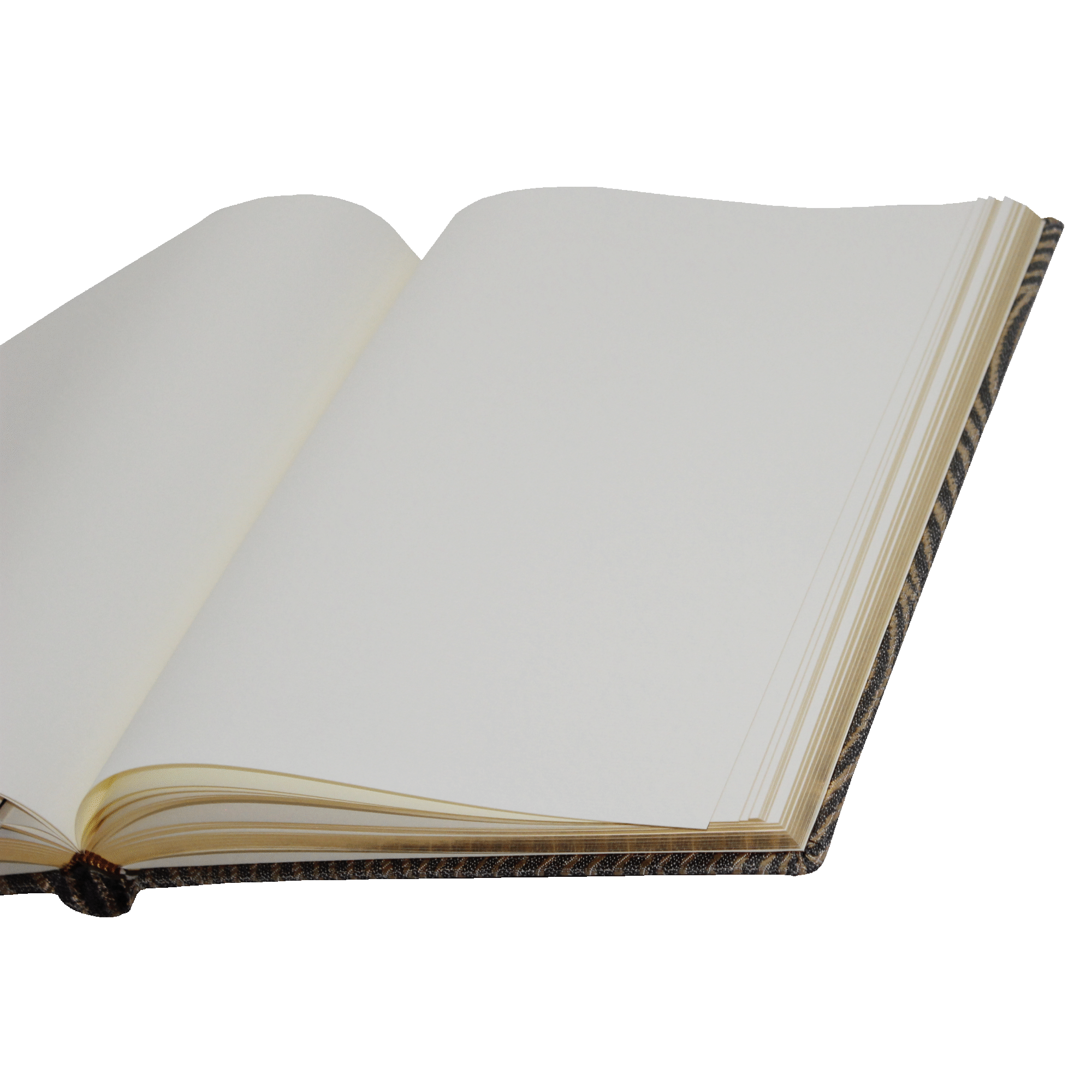 Gästebuch Gästebuch Riccie mit Goldrand im Hochformat