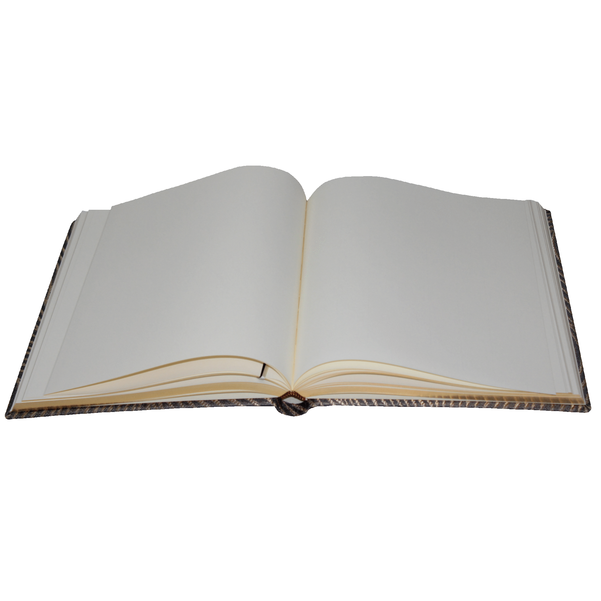 Gästebuch Gästebuch Riccie mit Goldrand im Hochformat