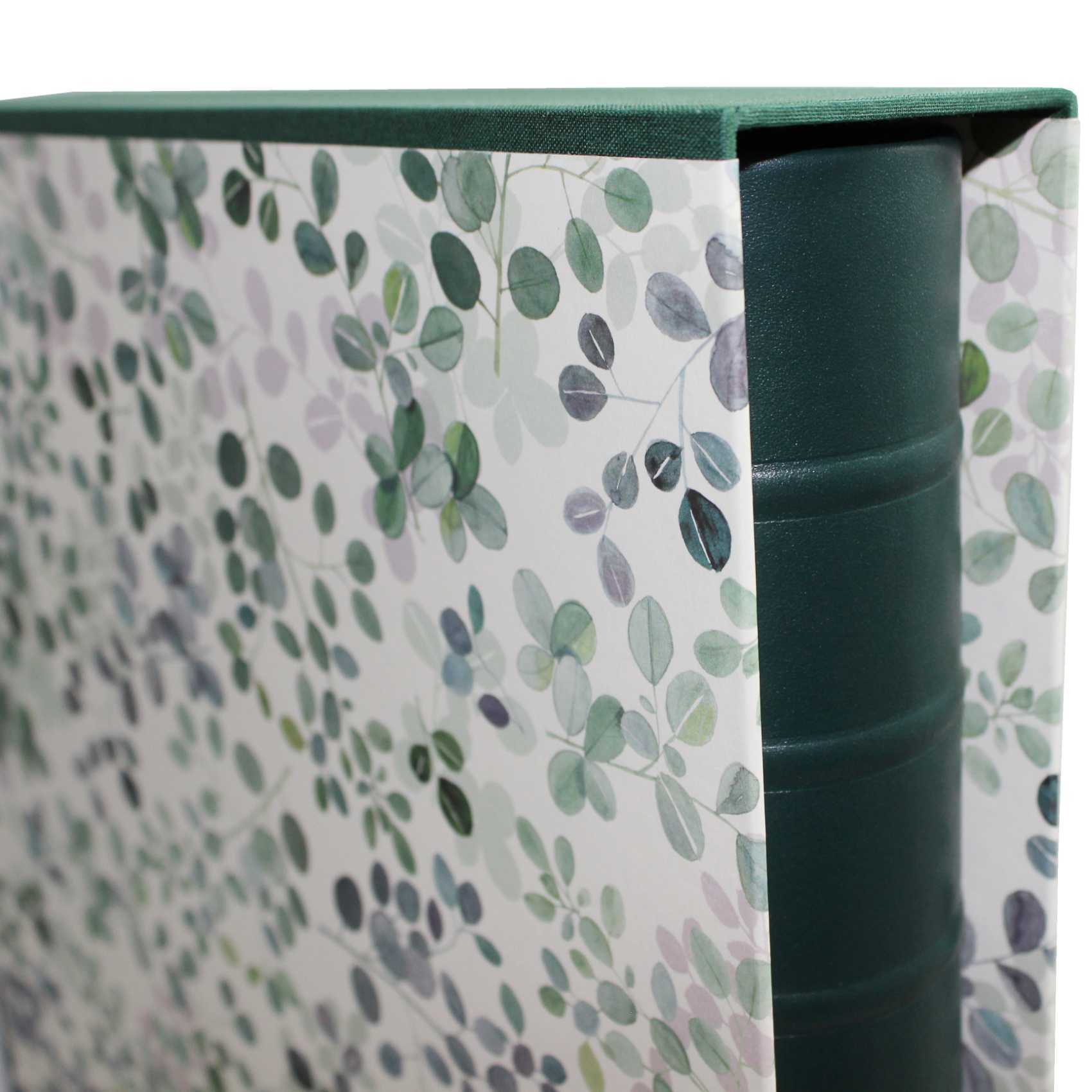 Fotoalben-Set Eukalyptus im Designer-Schutzschuber