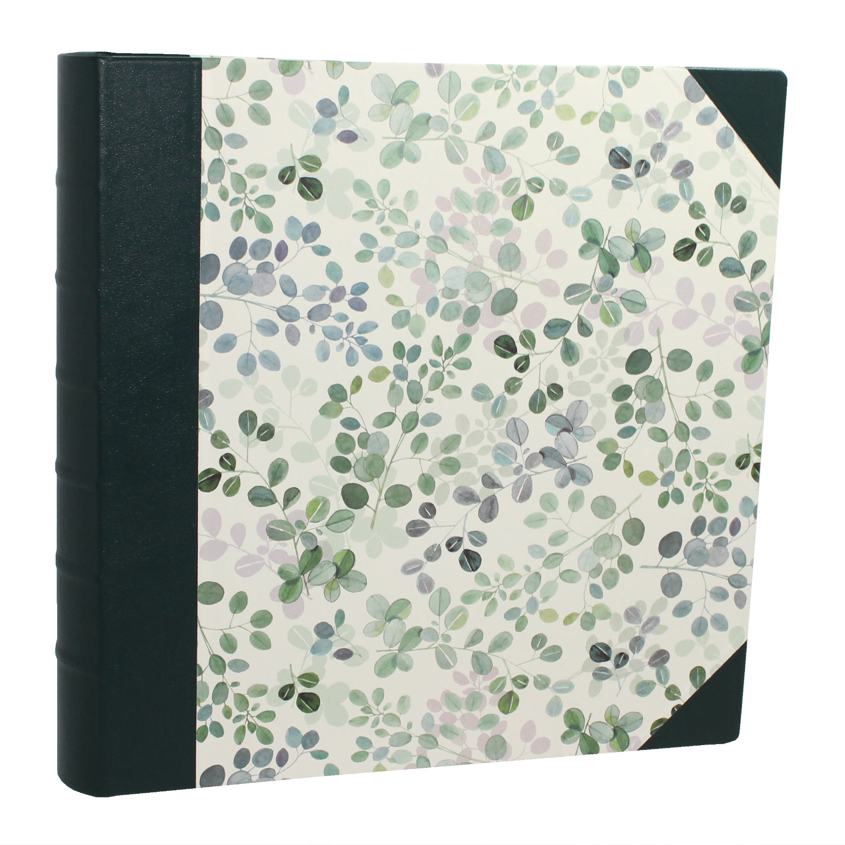 Fotoalben-Set Eukalyptus im Designer-Schutzschuber