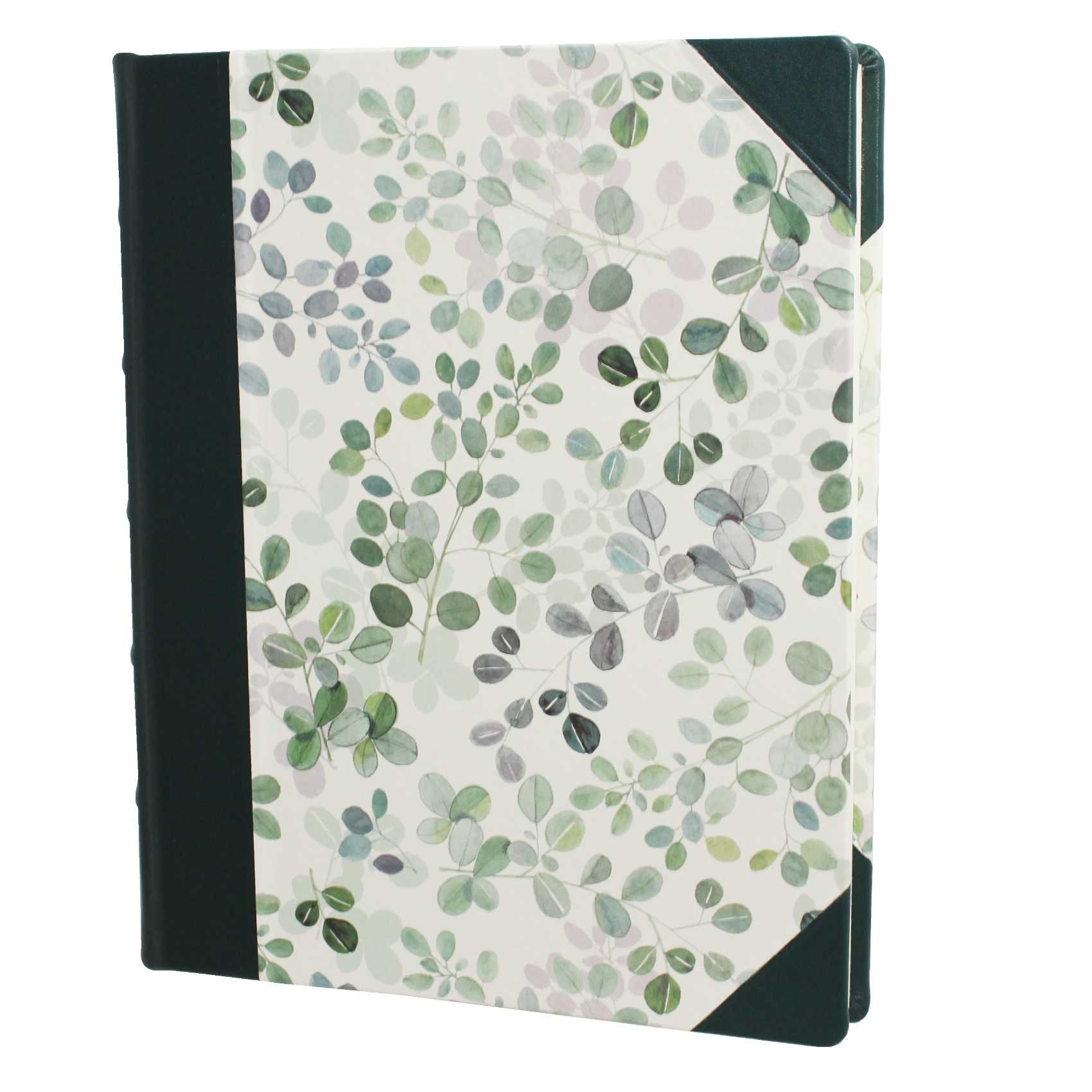Gästebücher-Set Eukalyptus im Designer-Schutzschuber