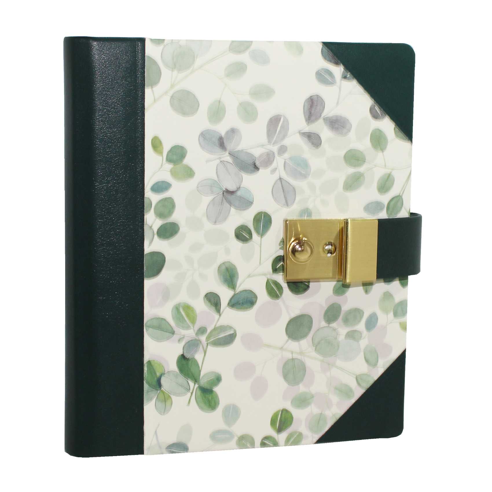 IMG_4182 Tagebuch Eukalyptus mit Schloss