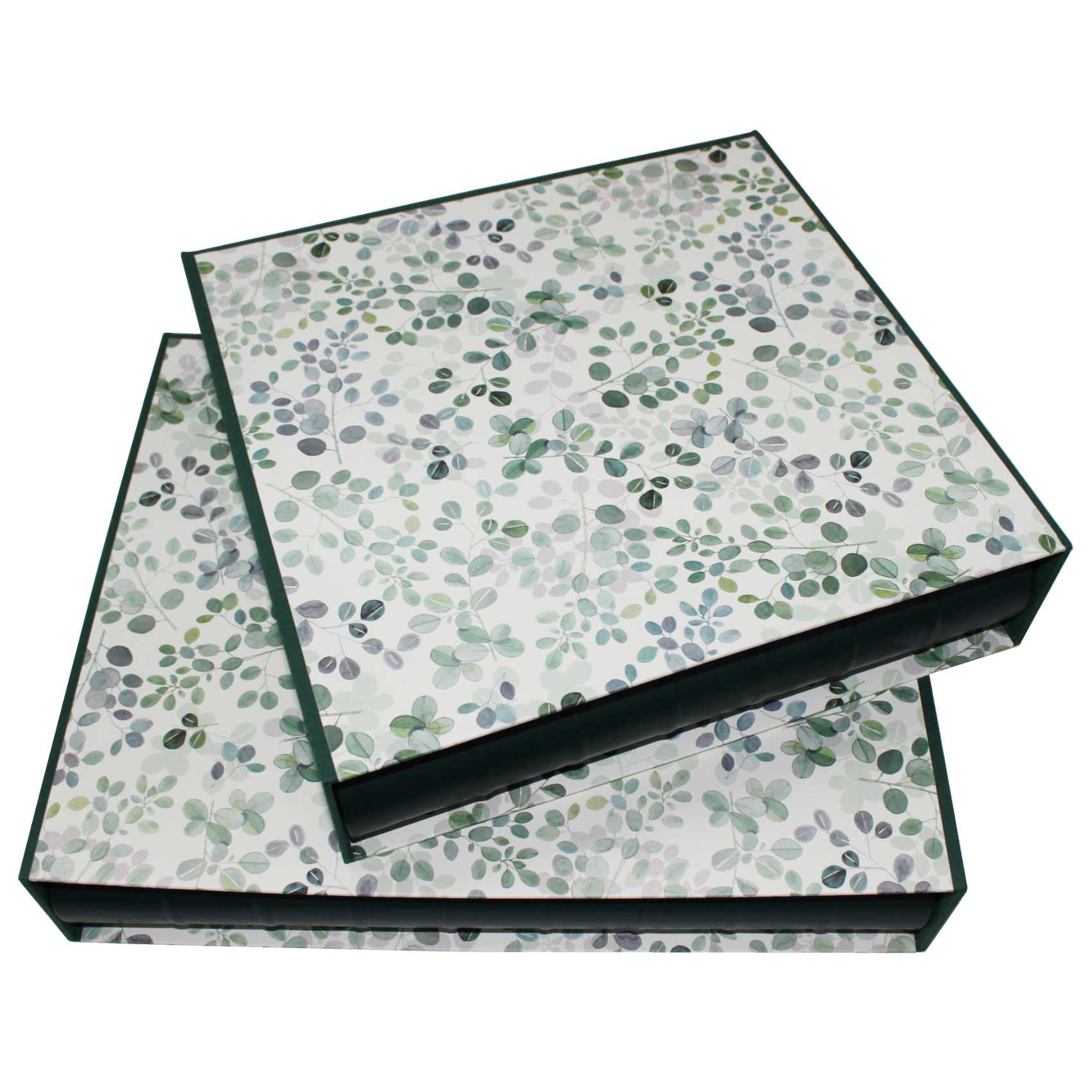 Fotoalben-Set Eukalyptus im Designer-Schutzschuber