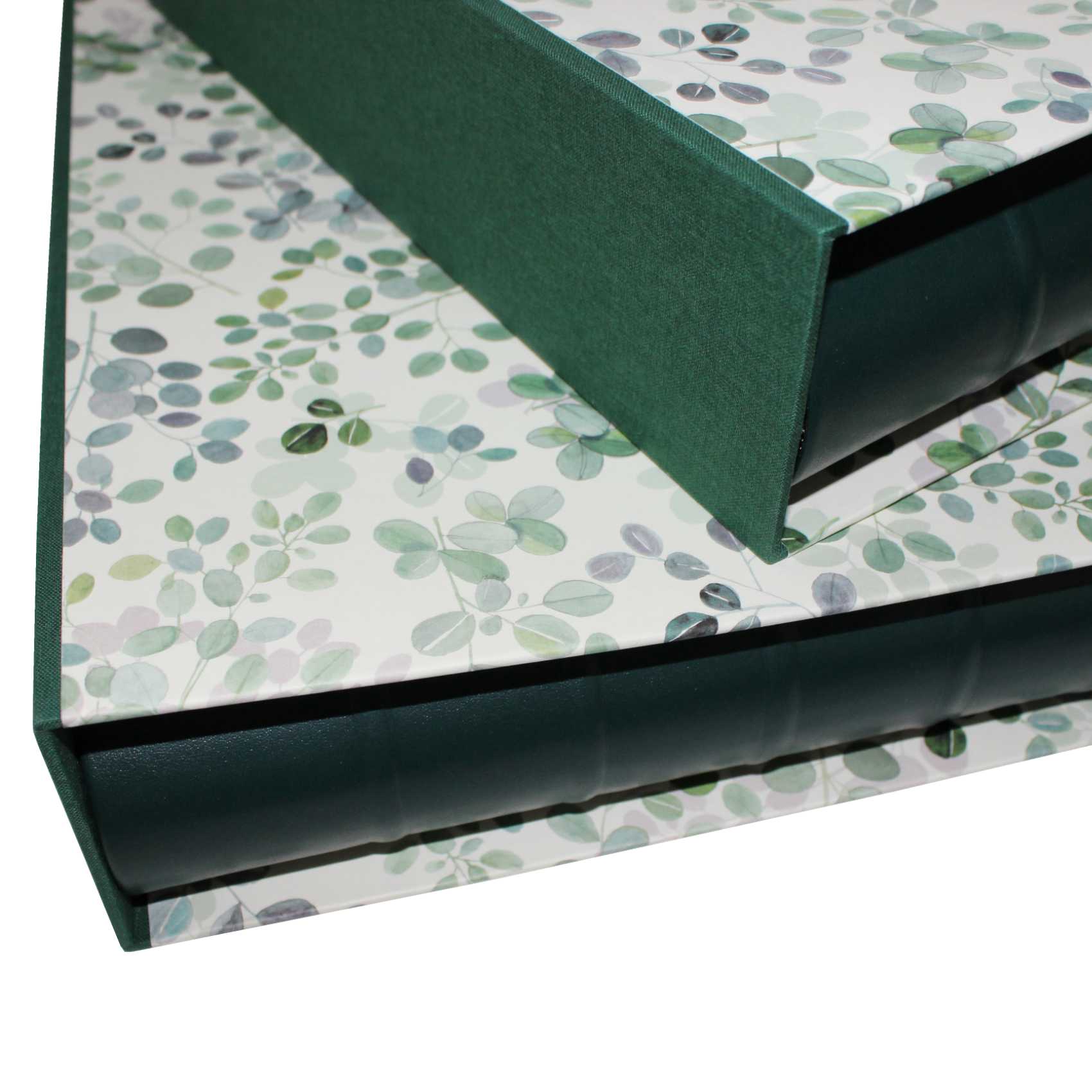 Fotoalben-Set Eukalyptus im Designer-Schutzschuber