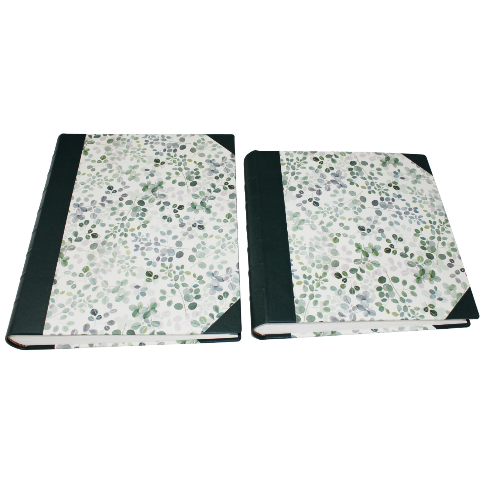 Fotoalben-Set Eukalyptus im Designer-Schutzschuber