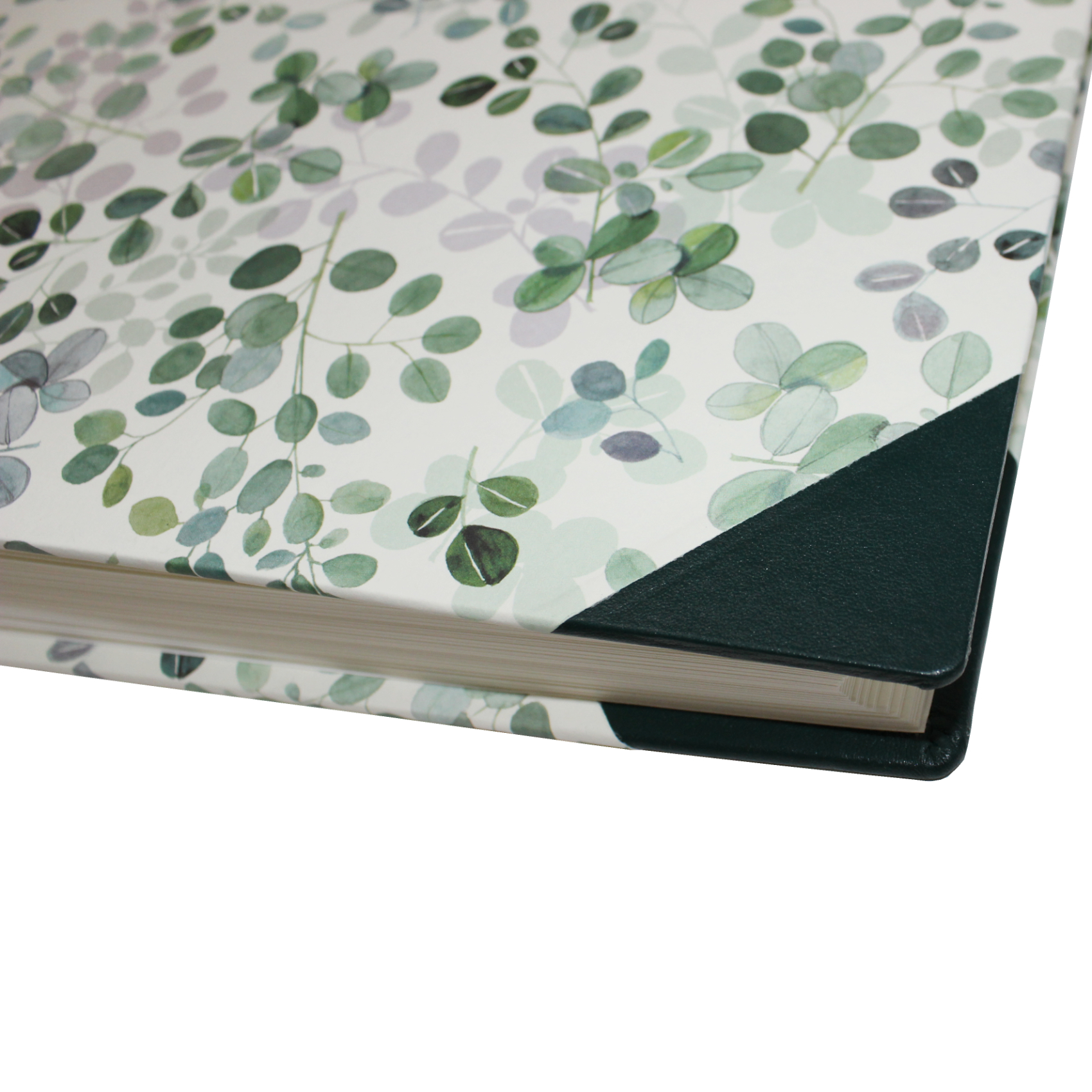 Fotoalben-Set Eukalyptus im Designer-Schutzschuber