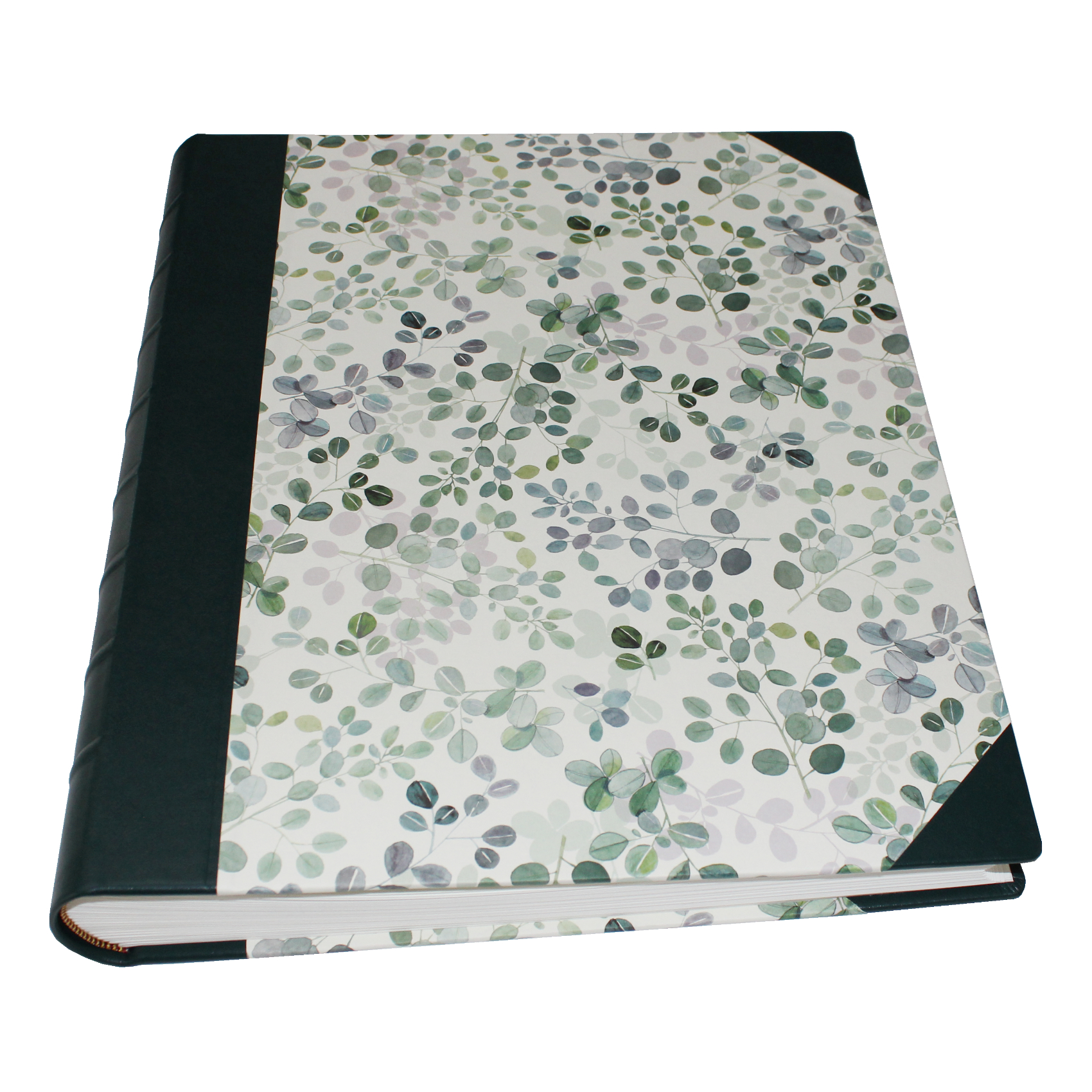 Fotoalben-Set Eukalyptus im Designer-Schutzschuber
