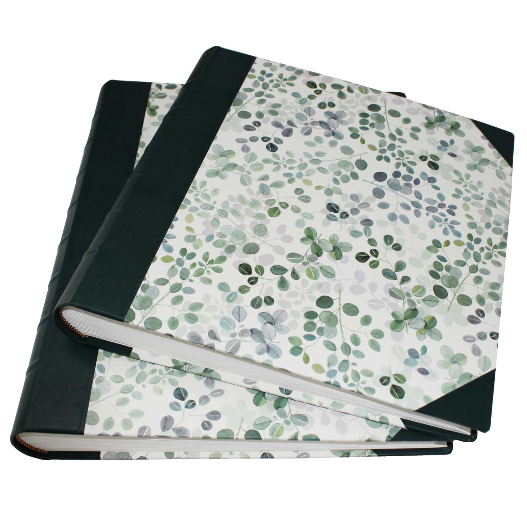Fotoalben-Set Eukalyptus im Designer-Schutzschuber