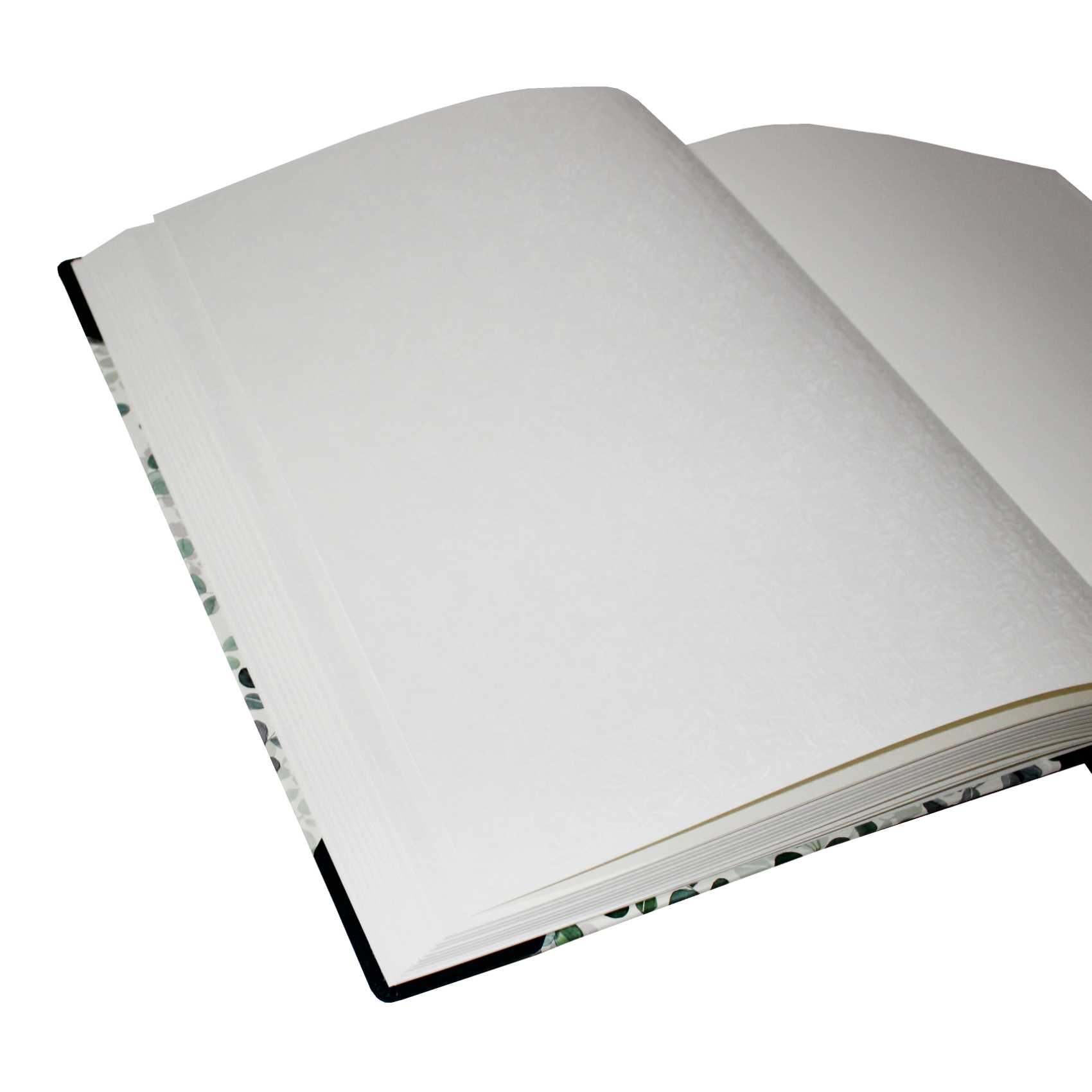 Fotoalben-Set Eukalyptus im Designer-Schutzschuber