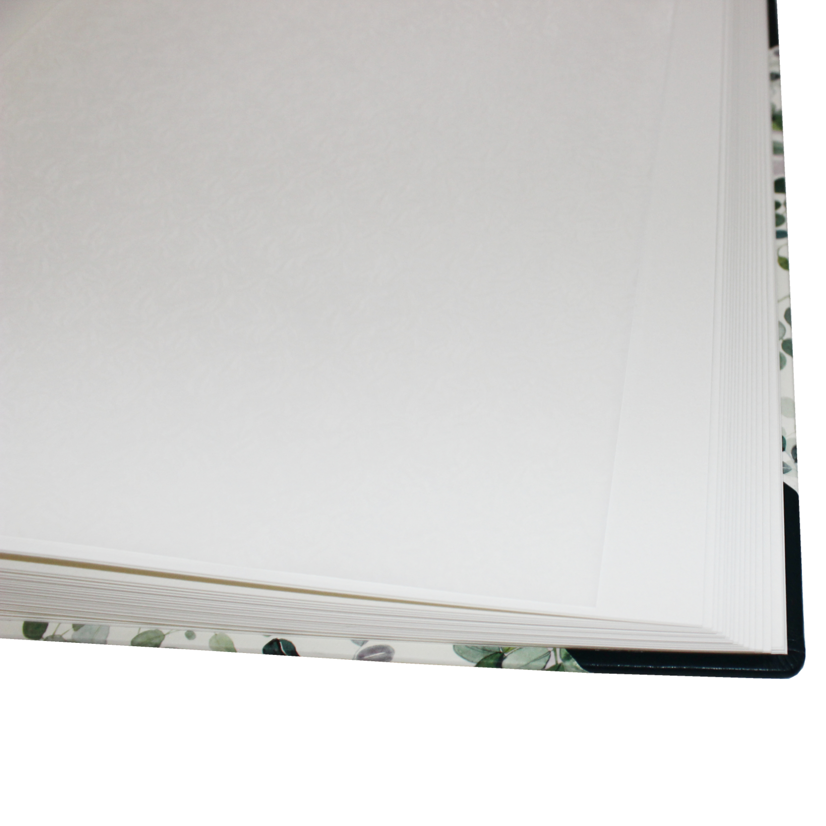 Fotoalben-Set Eukalyptus im Designer-Schutzschuber