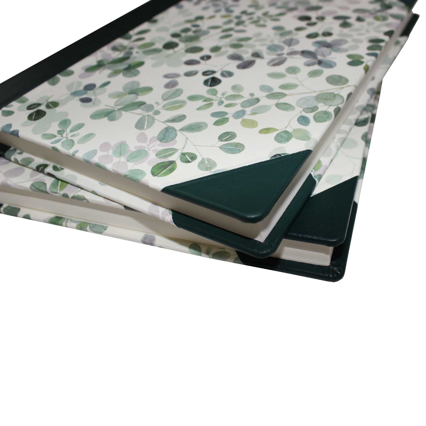 Gästebücher-Set Eukalyptus im Designer-Schutzschuber