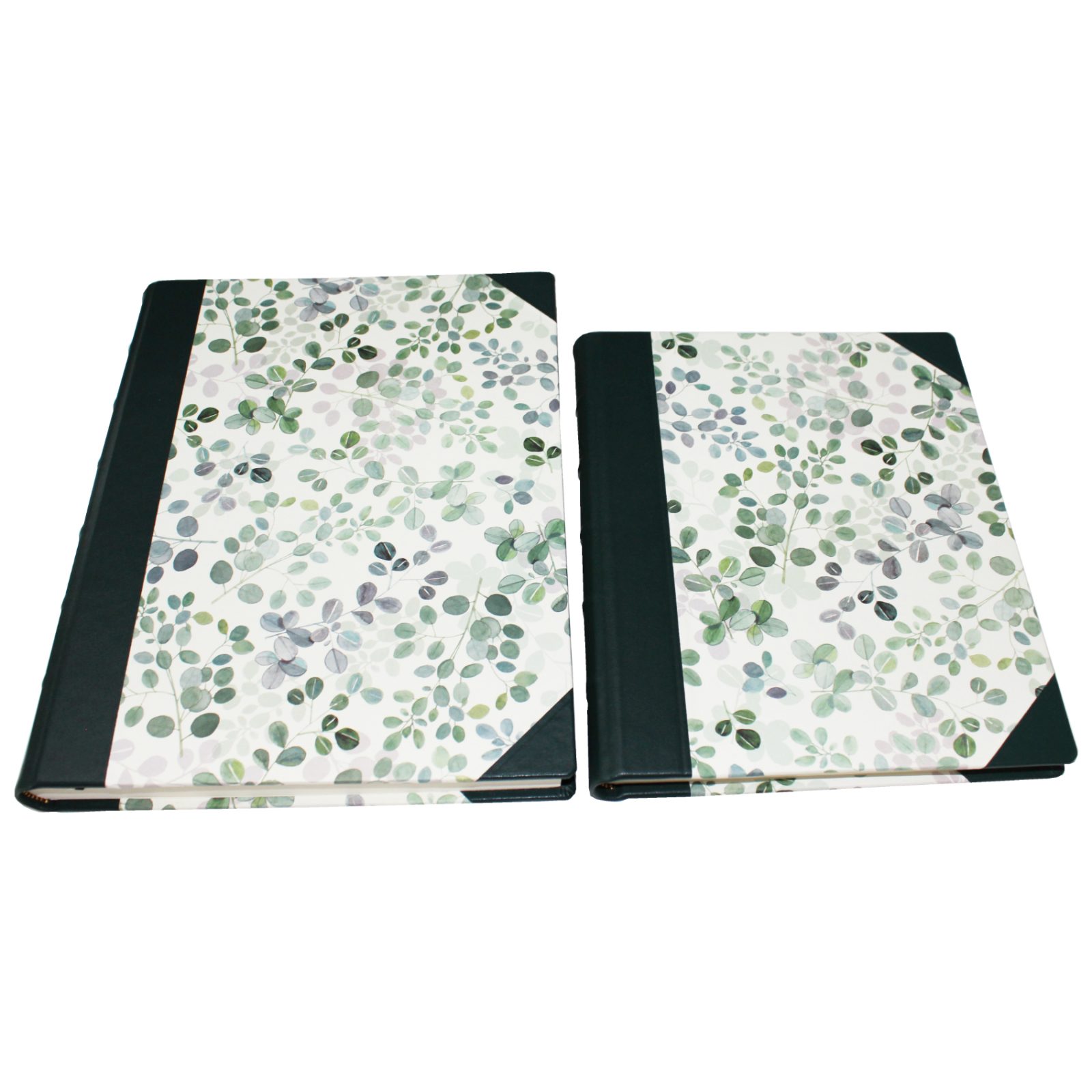 Gästebücher-Set Eukalyptus im Designer-Schutzschuber