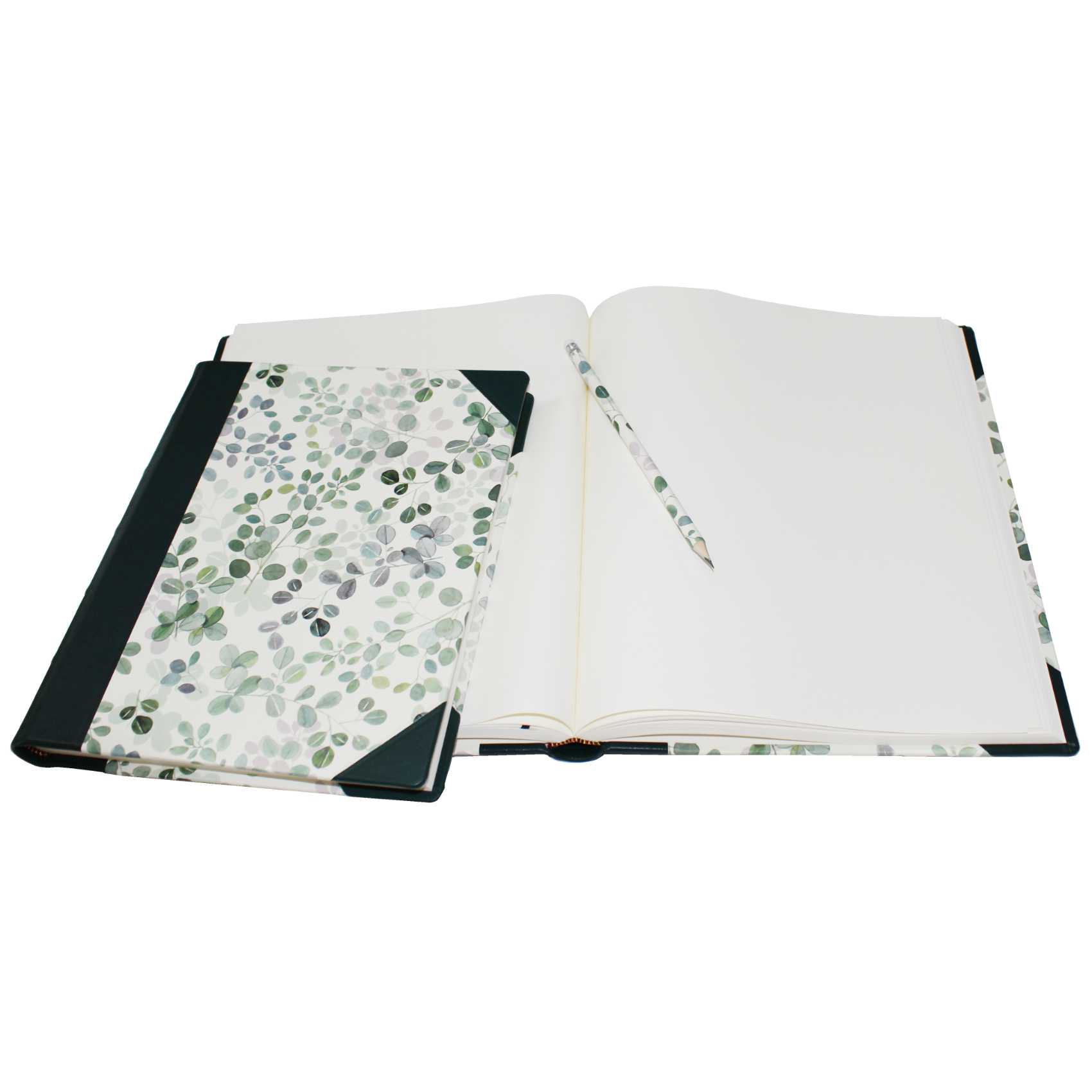 Gästebücher-Set Eukalyptus im Designer-Schutzschuber