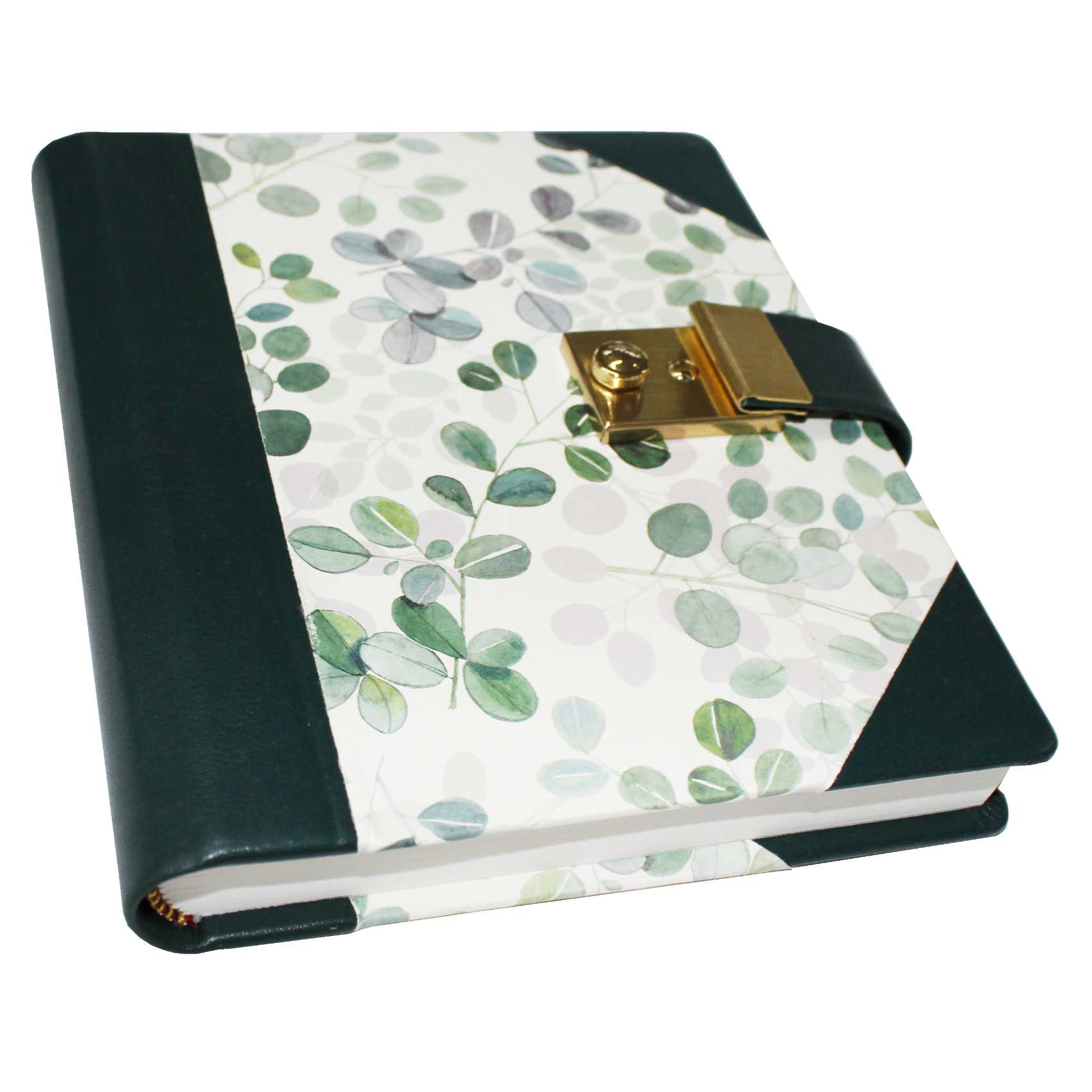 IMG_4359 Tagebuch Eukalyptus mit Schloss