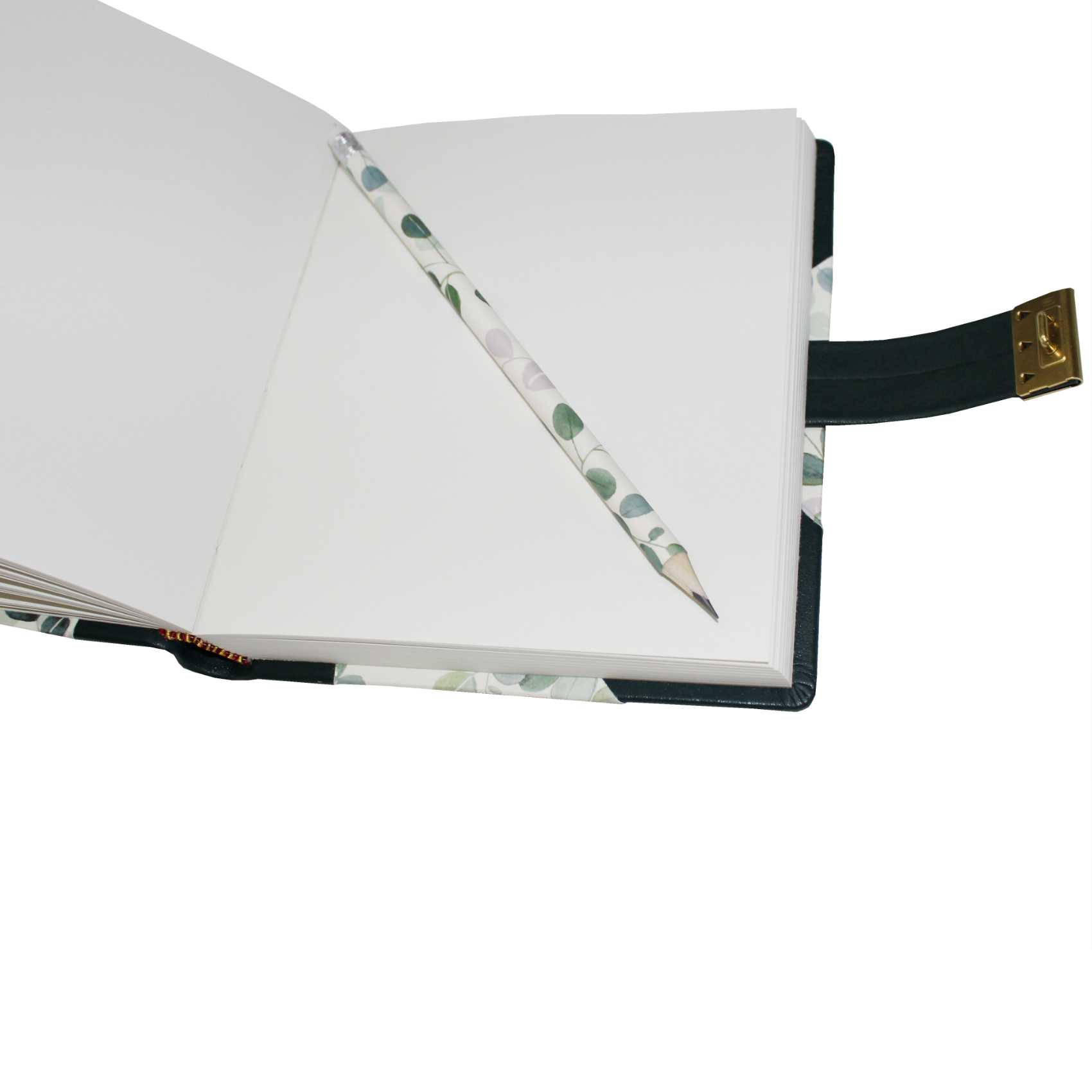 IMG_4360 Tagebuch Eukalyptus mit Schloss