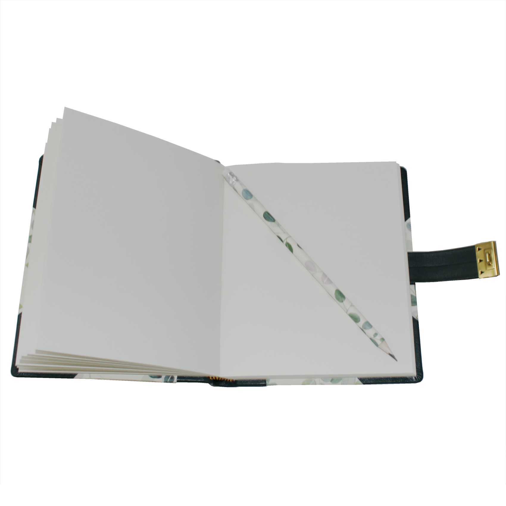 IMG_4362 Tagebuch Eukalyptus mit Schloss