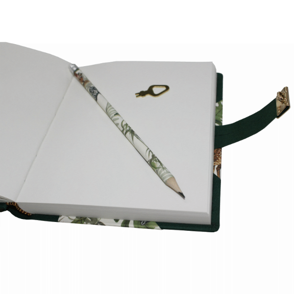 offen Tagebuch Afrika mit Schloss in grünem Buchbinderleinen